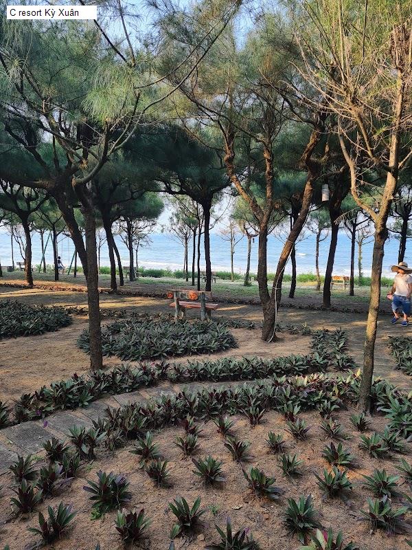 C resort Kỳ Xuân