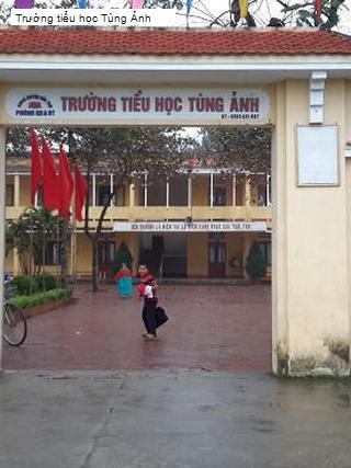 Trường tiểu học Tùng Ảnh