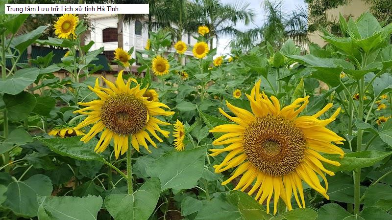 Trung tâm Lưu trữ Lịch sử tỉnh Hà Tĩnh